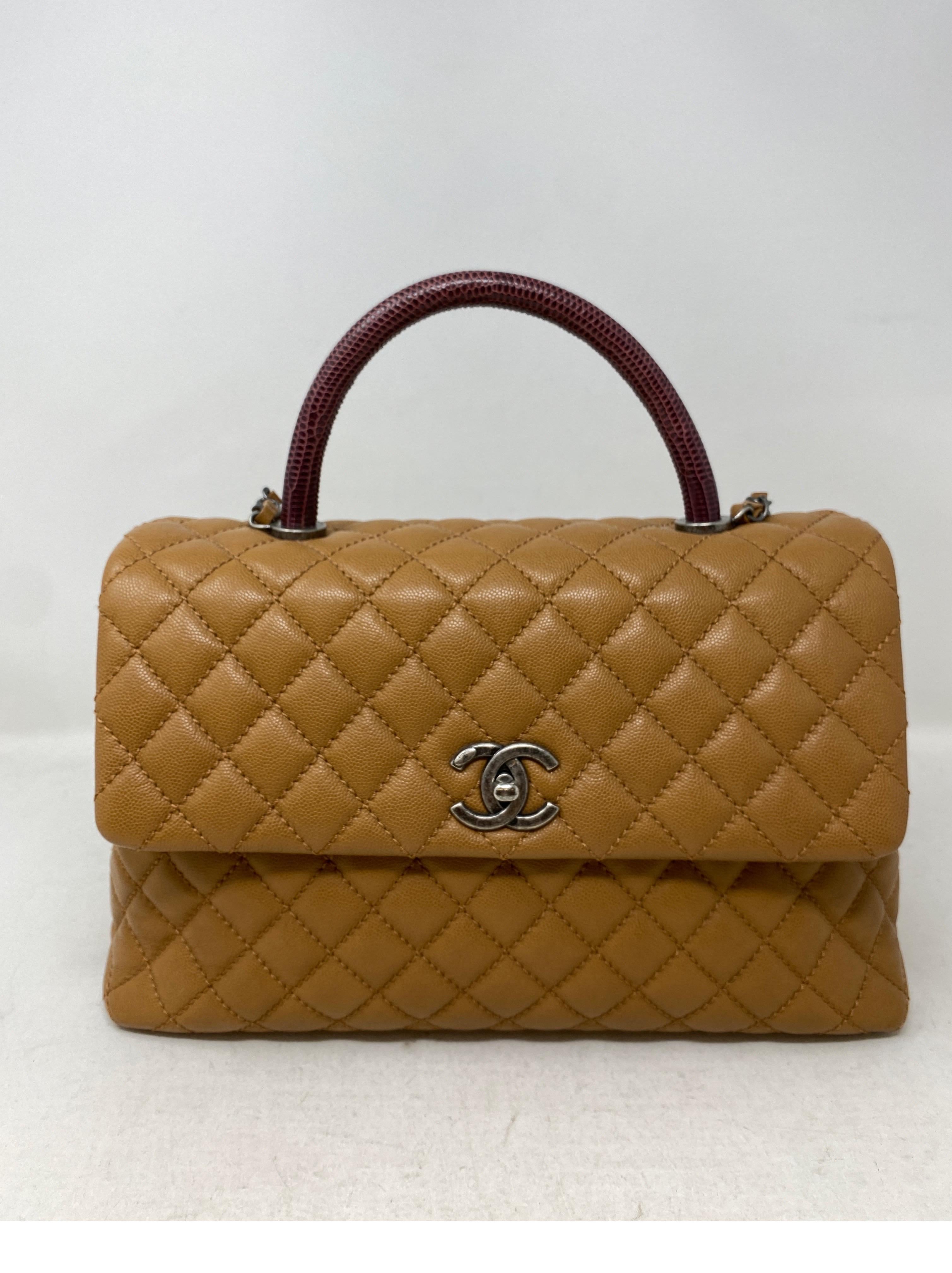 Chanel Coco Handle Lizard Bag 3