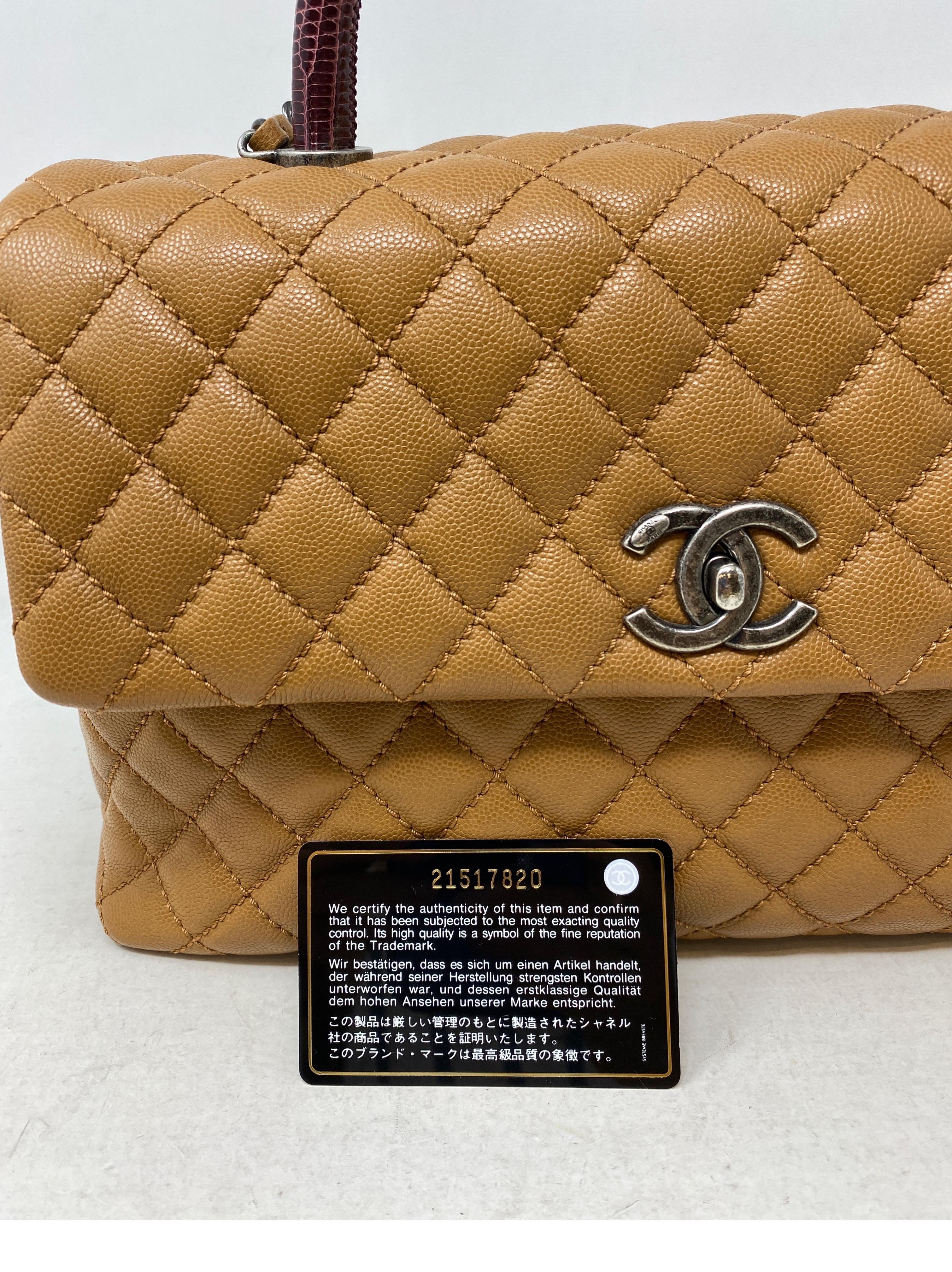 Chanel Coco Handle Lizard Bag 7