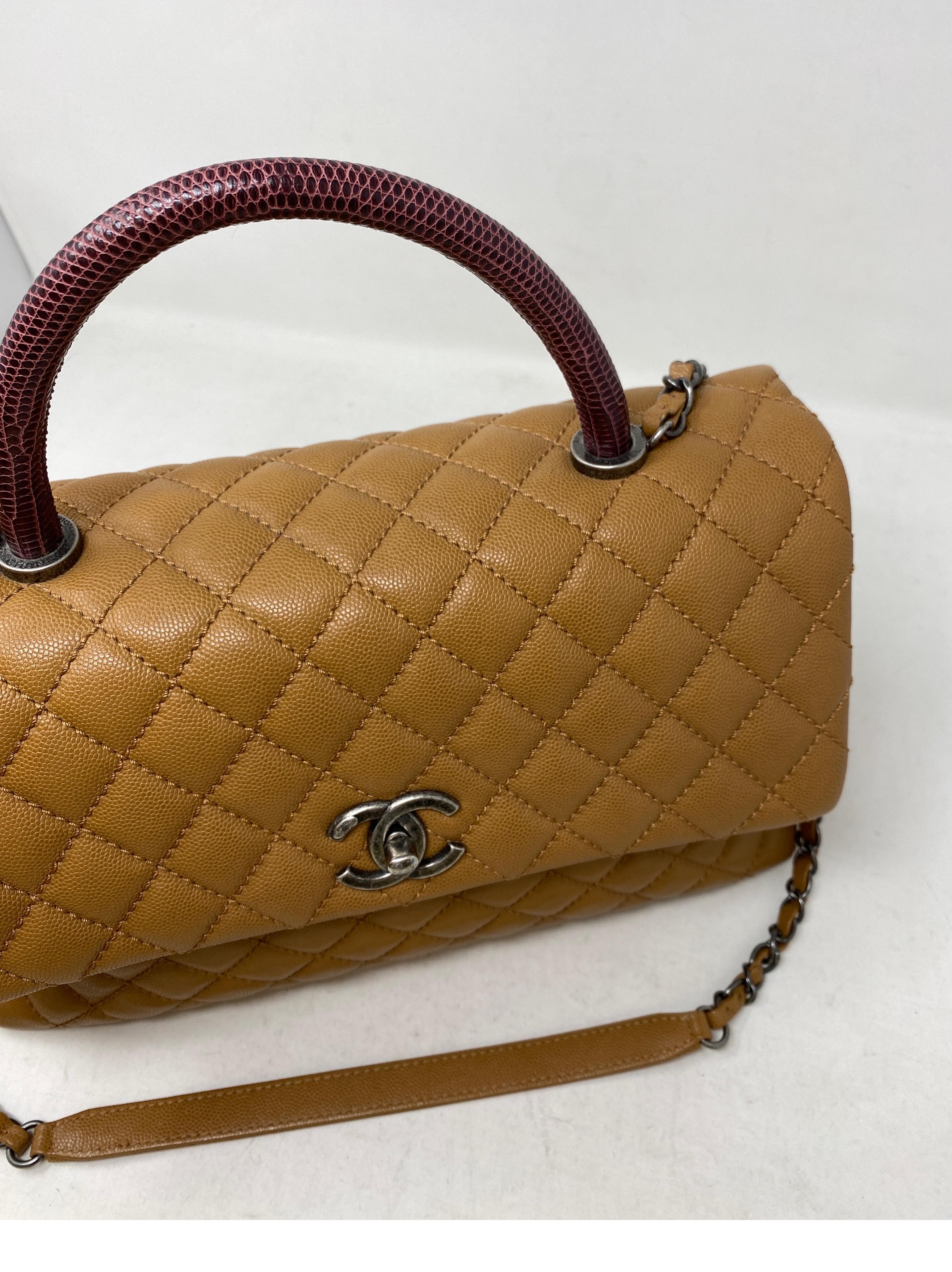 Chanel Coco Handle Lizard Bag 10