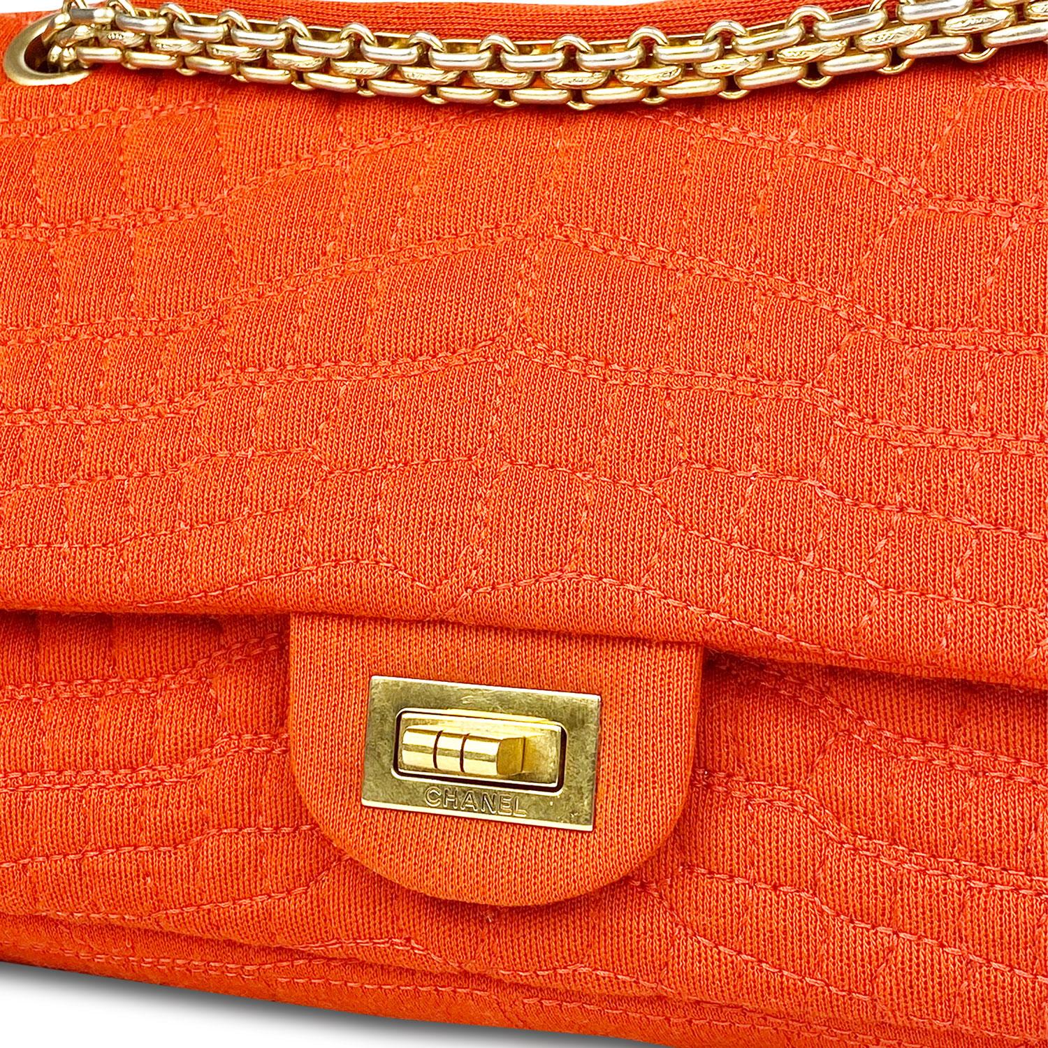 Chanel Croc Reissue 225 Double Flap Bag 5