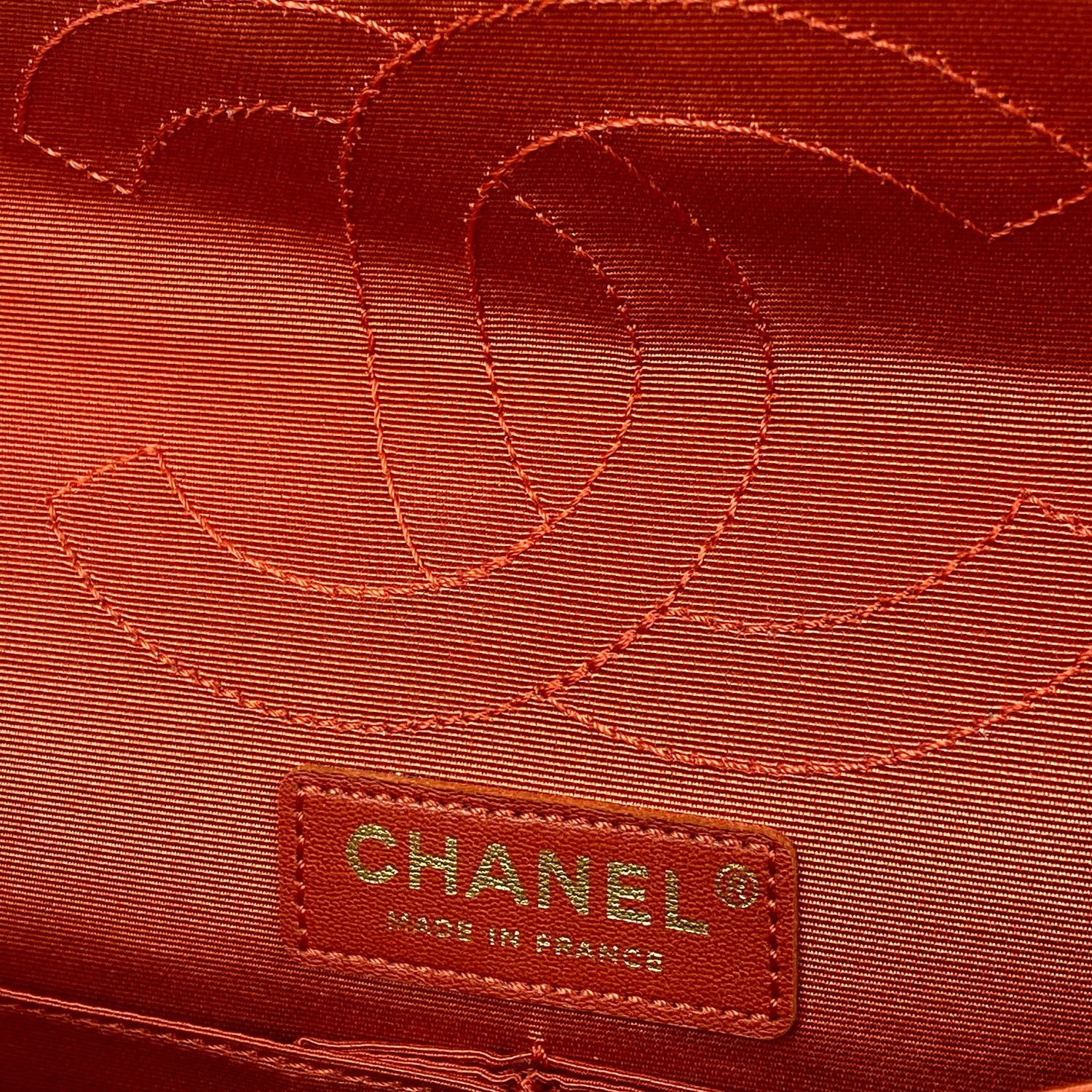 Chanel Croc Reissue 225 Double Flap Bag 3