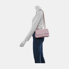 Chanel Diana Flap Small Pink Lambskin Leather Double Chain Gold Hardware 2015-20