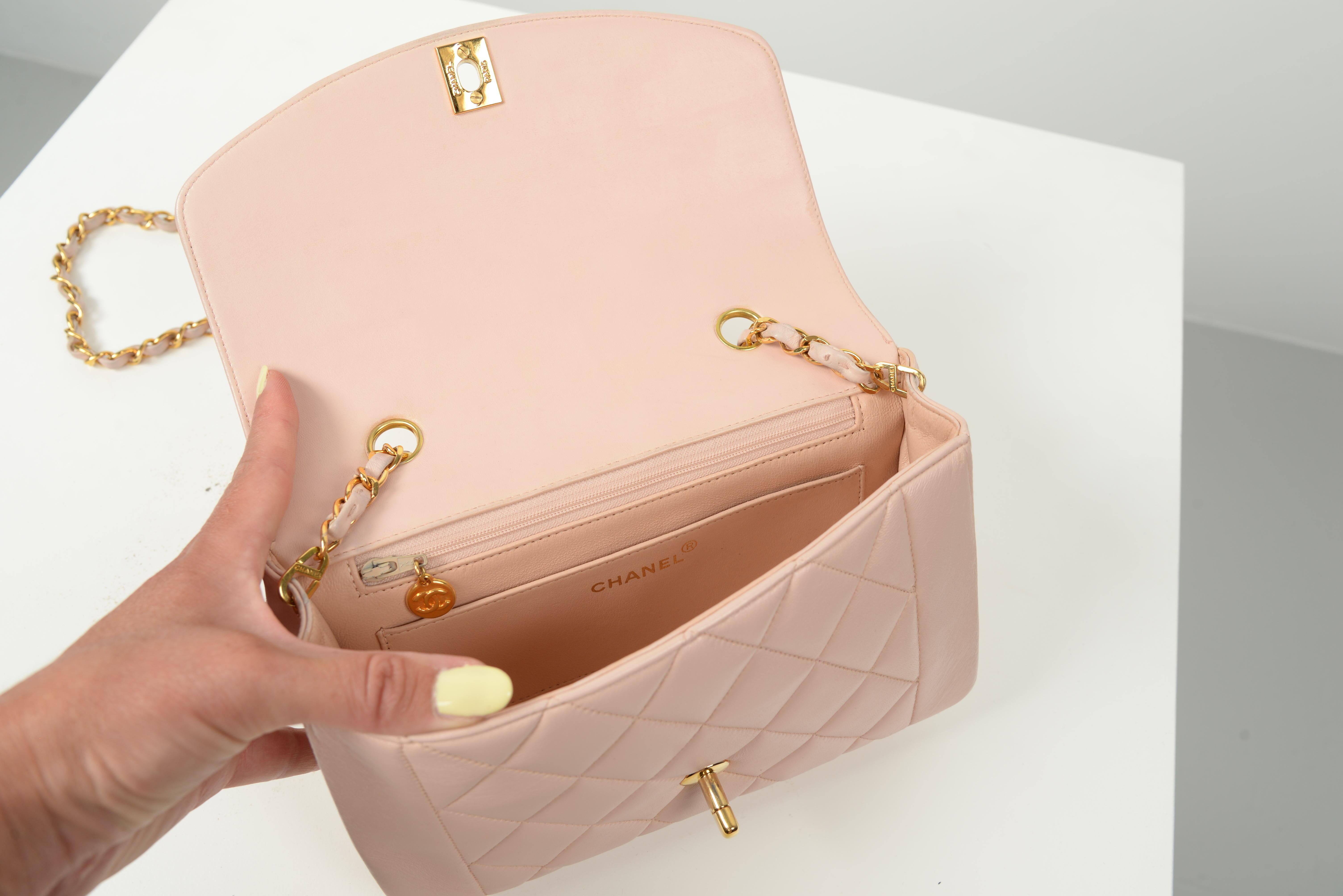 Chanel RARE Diana Quilted Lambskin Baby Pink Gold Hardware Small 6