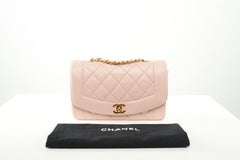 Chanel RARE Diana Quilted Lambskin Baby Pink Gold Hardware Small