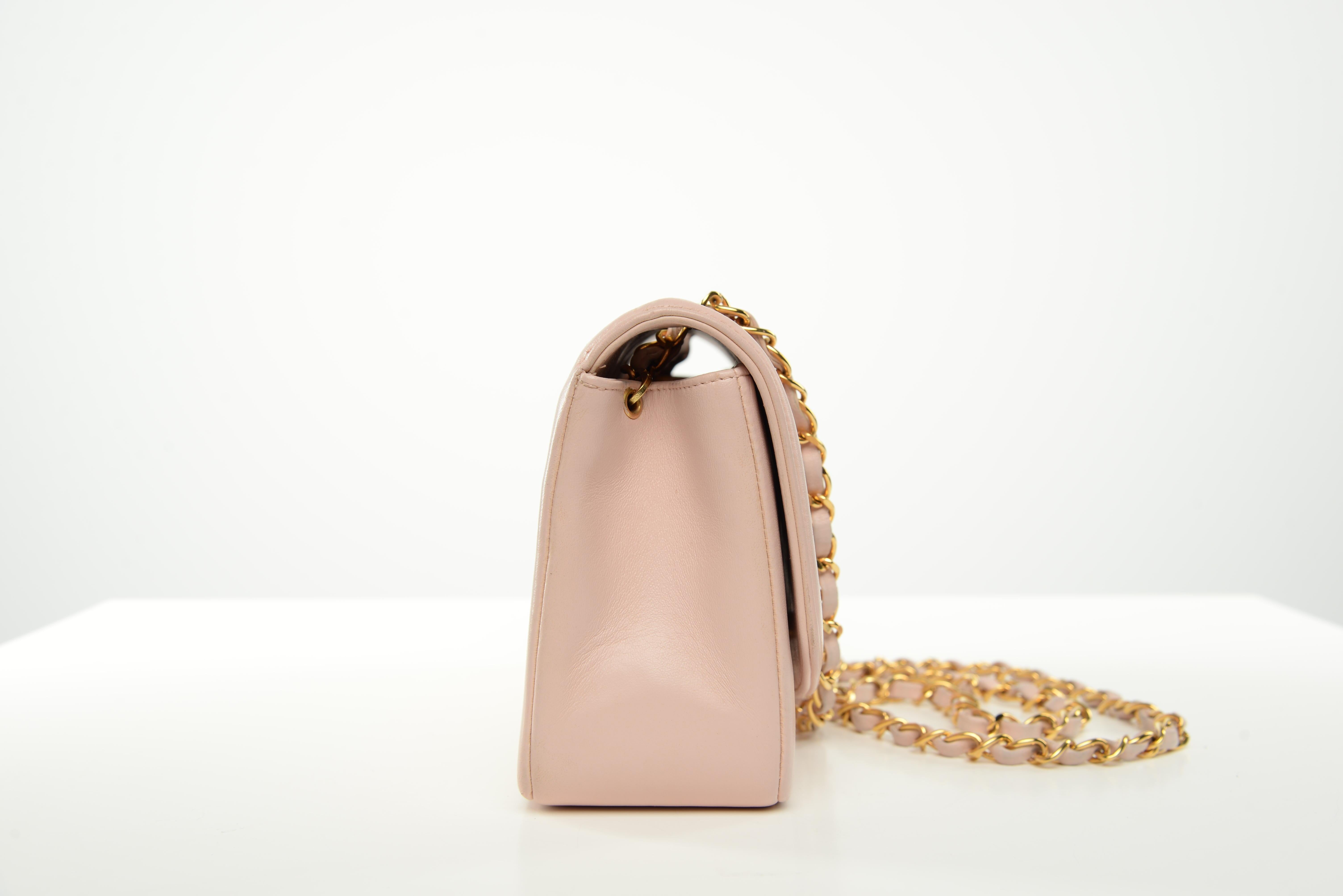 Chanel RARE Diana Quilted Lambskin Baby Pink Gold Hardware Small 1