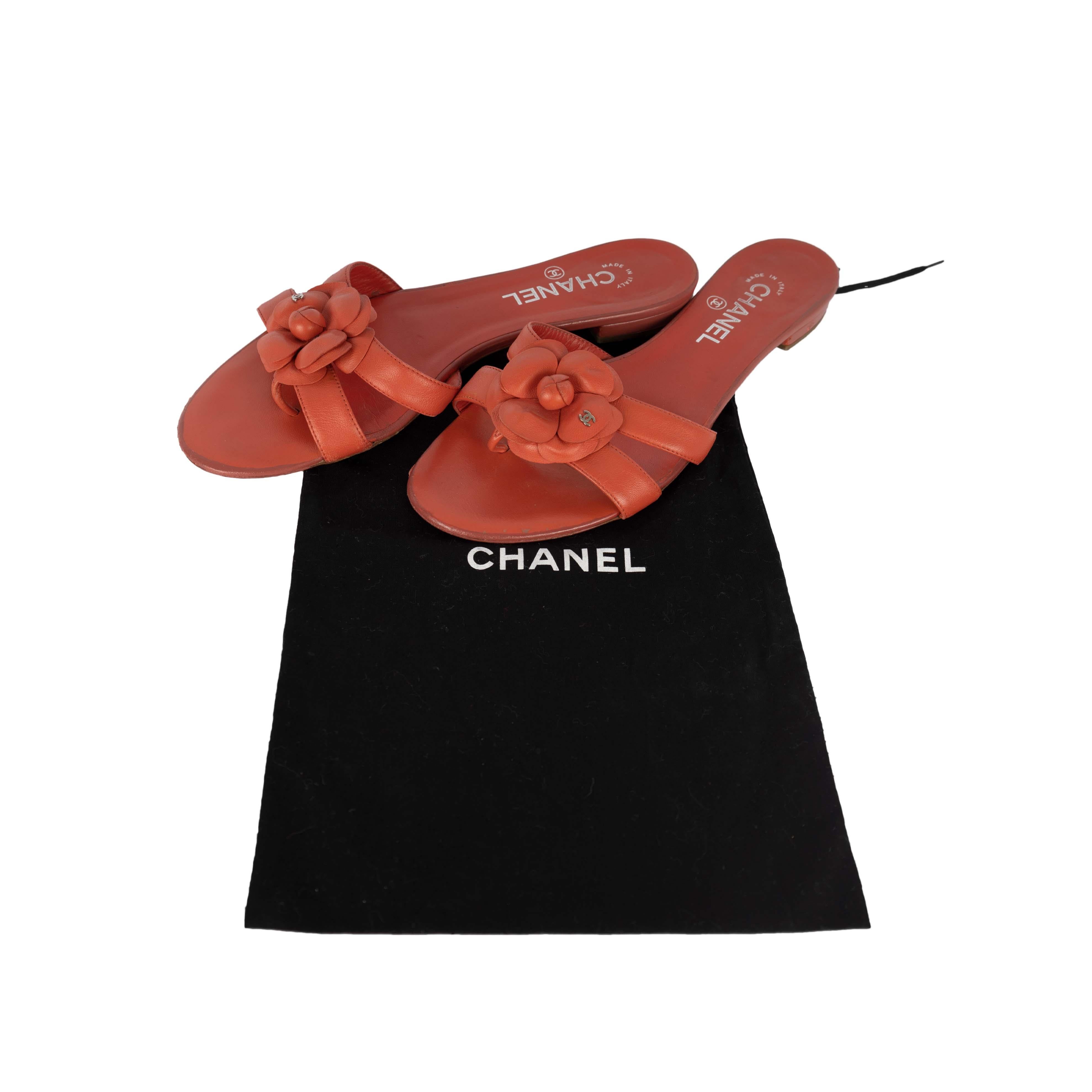 Chanel Kamelien-Sandalen mit doppeltem Riemen - '10er 3