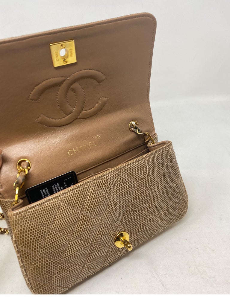 Chanel Exotic Snakeskin Mini Bag For Sale at 1stDibs
