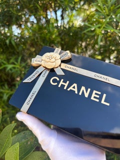 Chanel Gift Box Minaudiere Plexiglass
