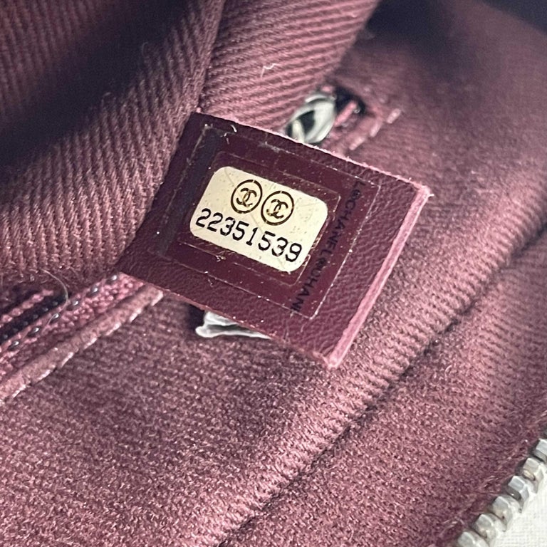 CHANEL Glazed Calfskin Quilted Medium Day Trip Flap Bag Crossbody For