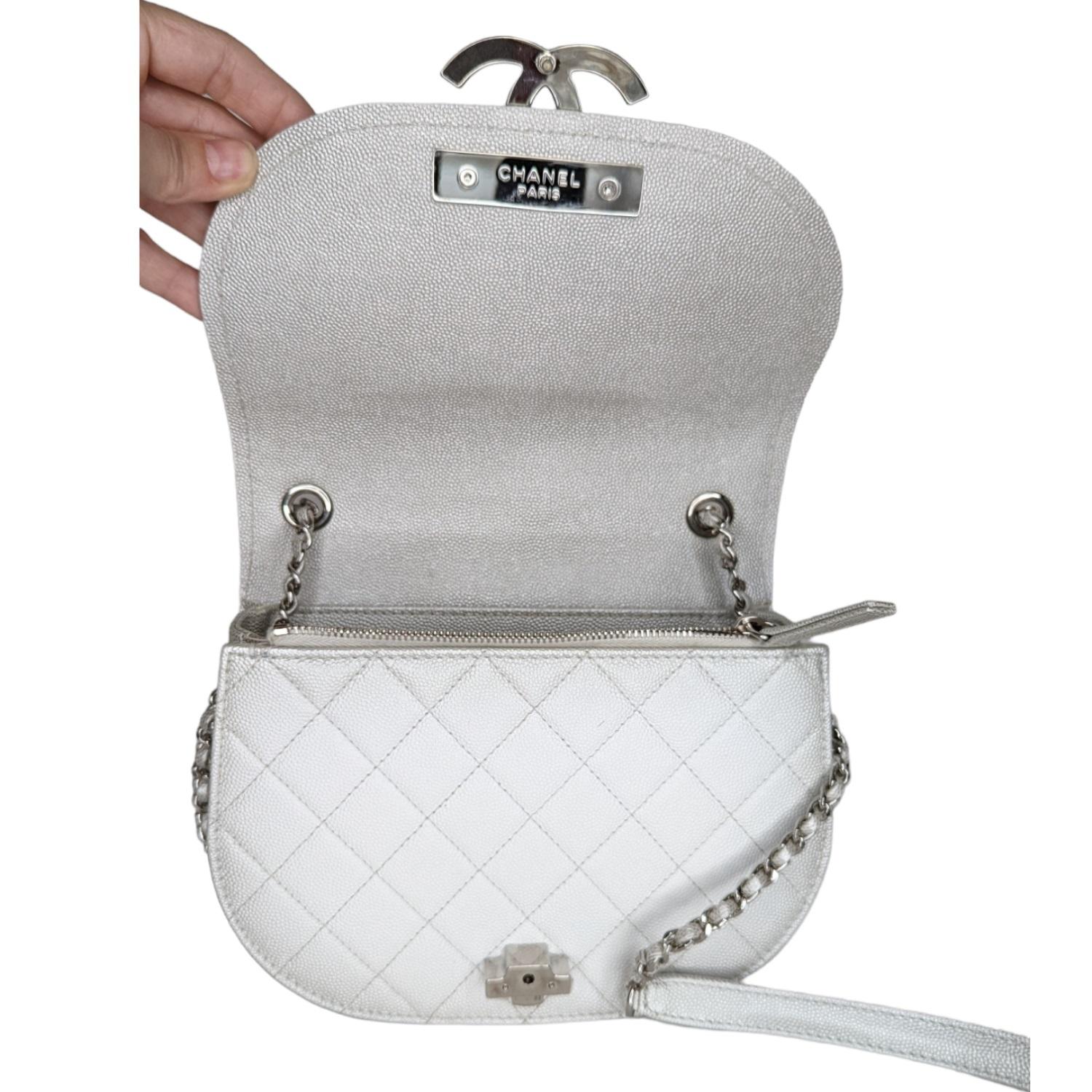 Chanel Goatskin Quilted Small Coco Curve Messenger Flap 2