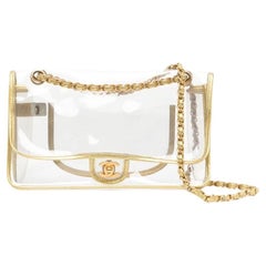 Chanel Gold Transparent Naked Classic Medium Flap Shoulder Bag