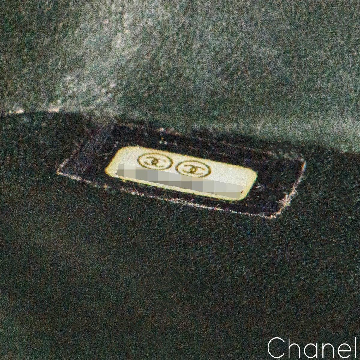 Chanel Greene & Greene Greene Classic Flap Bag en vente 2