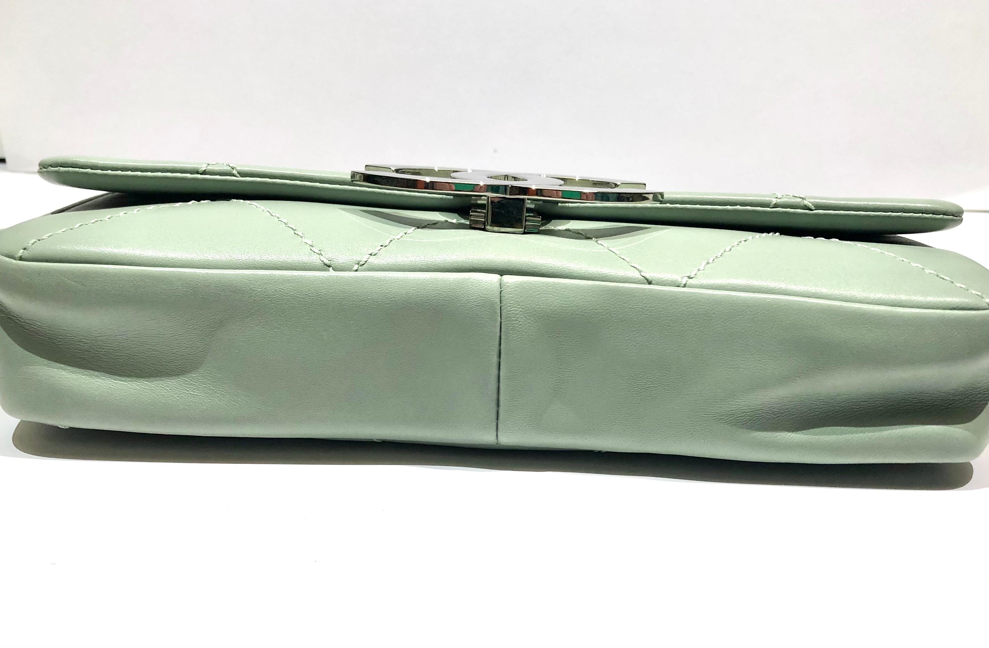 green and silver bag