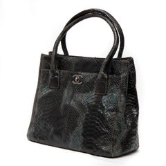 Chanel Greene & Greene Tote Media Execute Cerf in Pitone