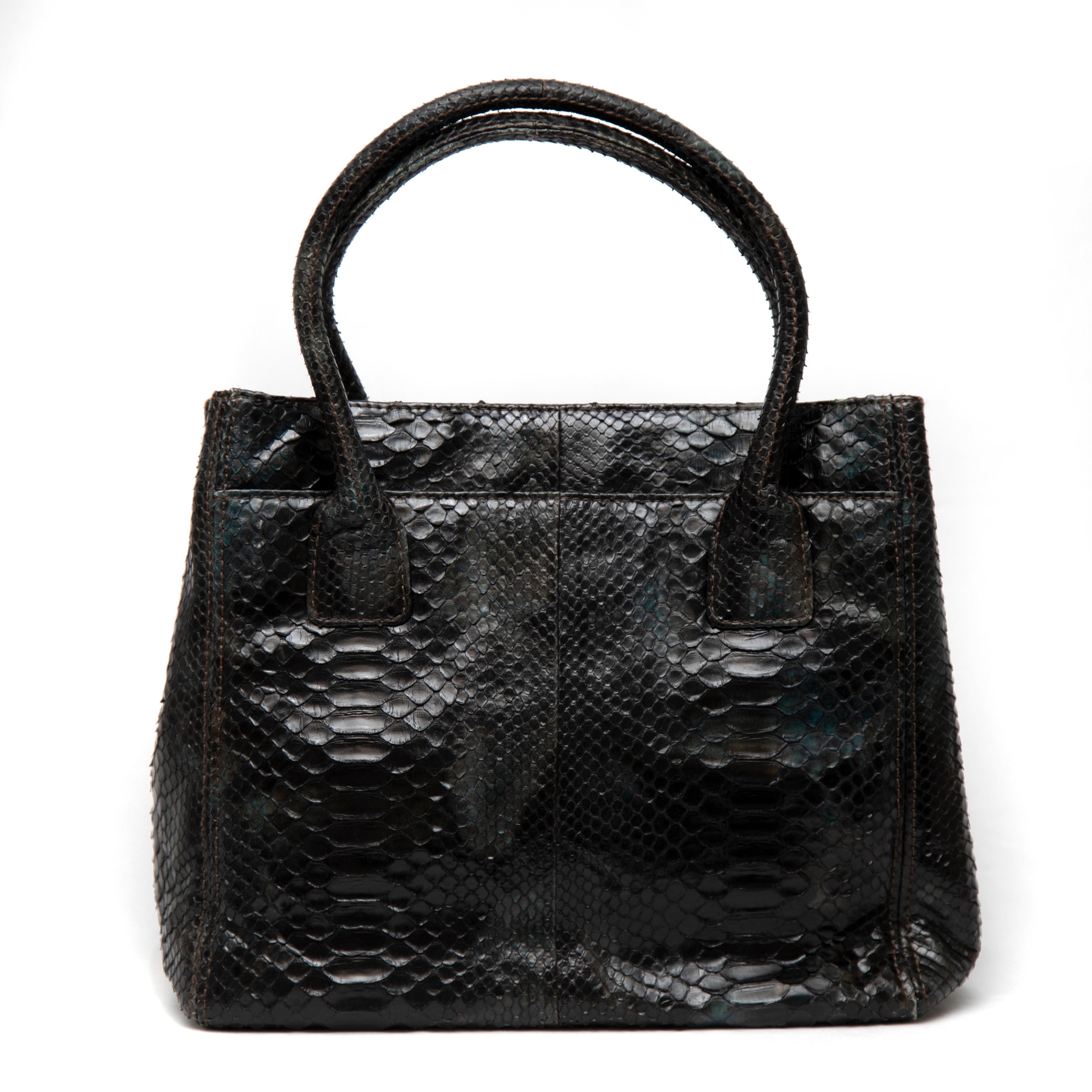 Black Chanel Green Python Medium Execute Cerf Tote