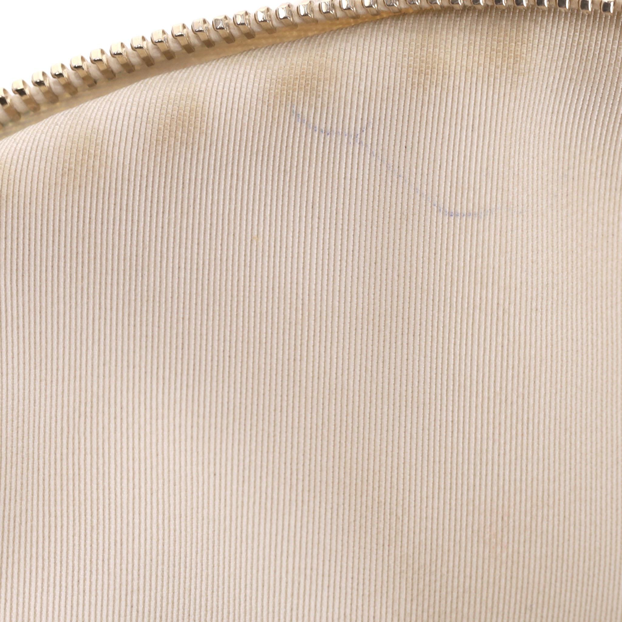 Chanel Iridescent Leather All About Waist Belt Bag For Sale 8