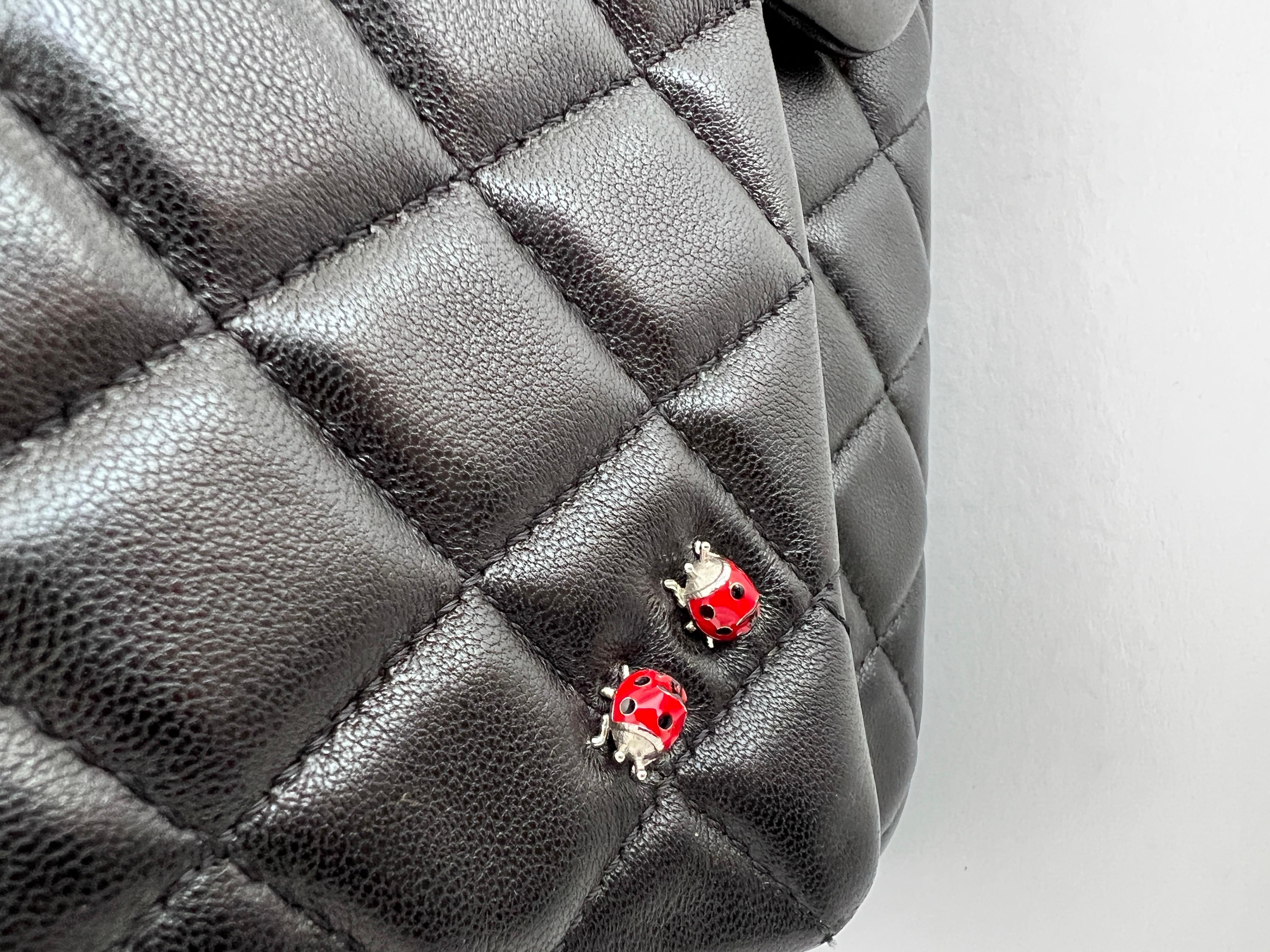 Chanel Ladybug Medium Flap Bag 11