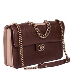 CHANEL Lizard Leather & Quilted Lambskin Perfect Edge Classic Single Flap Bag