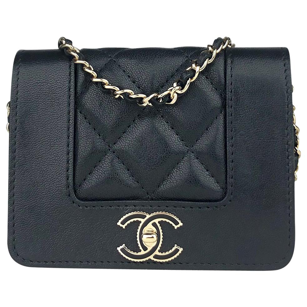 Chanel Mademoiselle Wallet on Chain Crossbody Bag For Sale