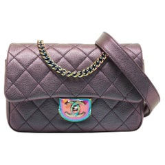 Chanel Metallic Iridescent Quilted Goatskin Leather Small Double Carry Shoulder 
