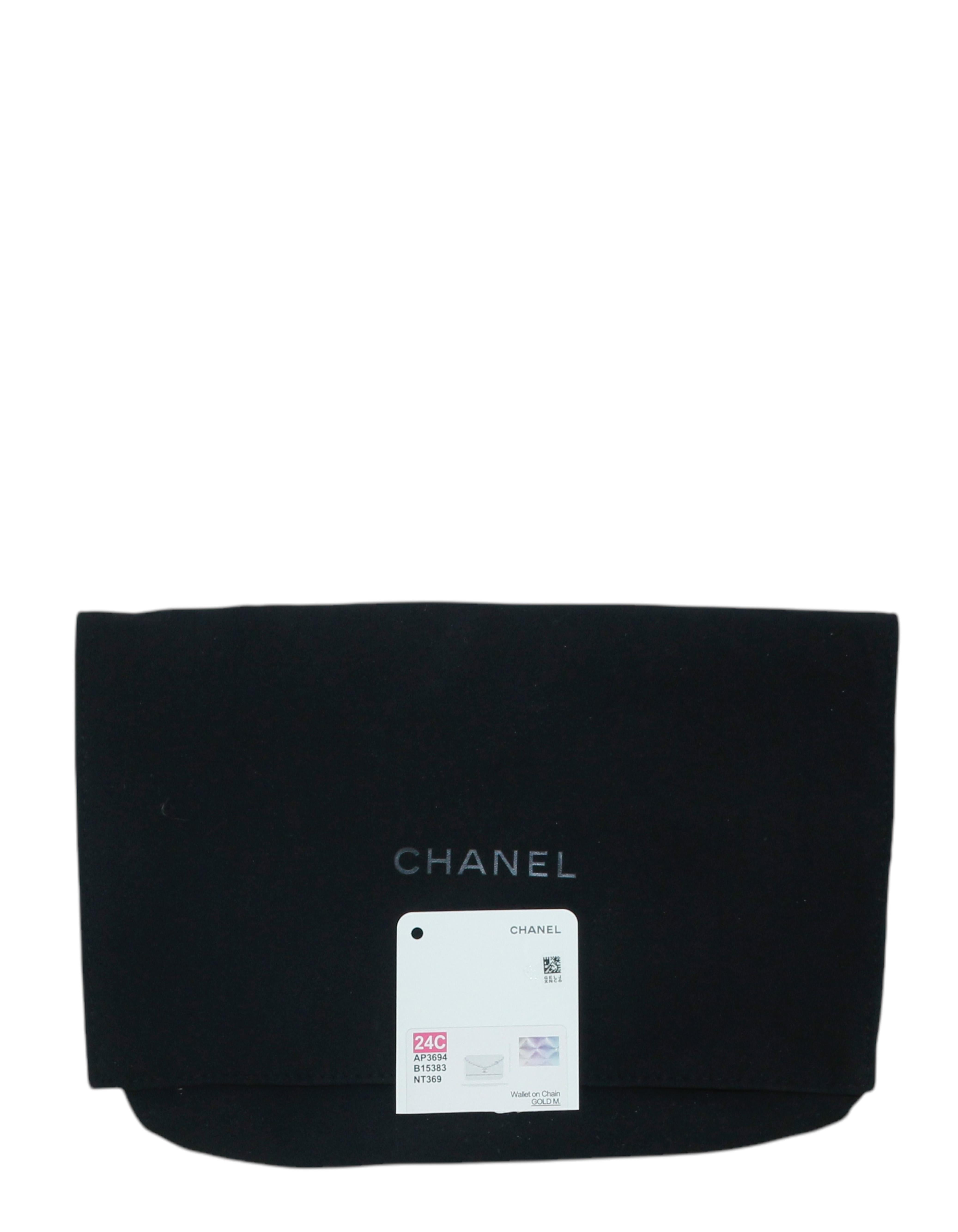 Chanel Metallic Ombre Leather Wallet On Chain WOC Crossbody Bag 5