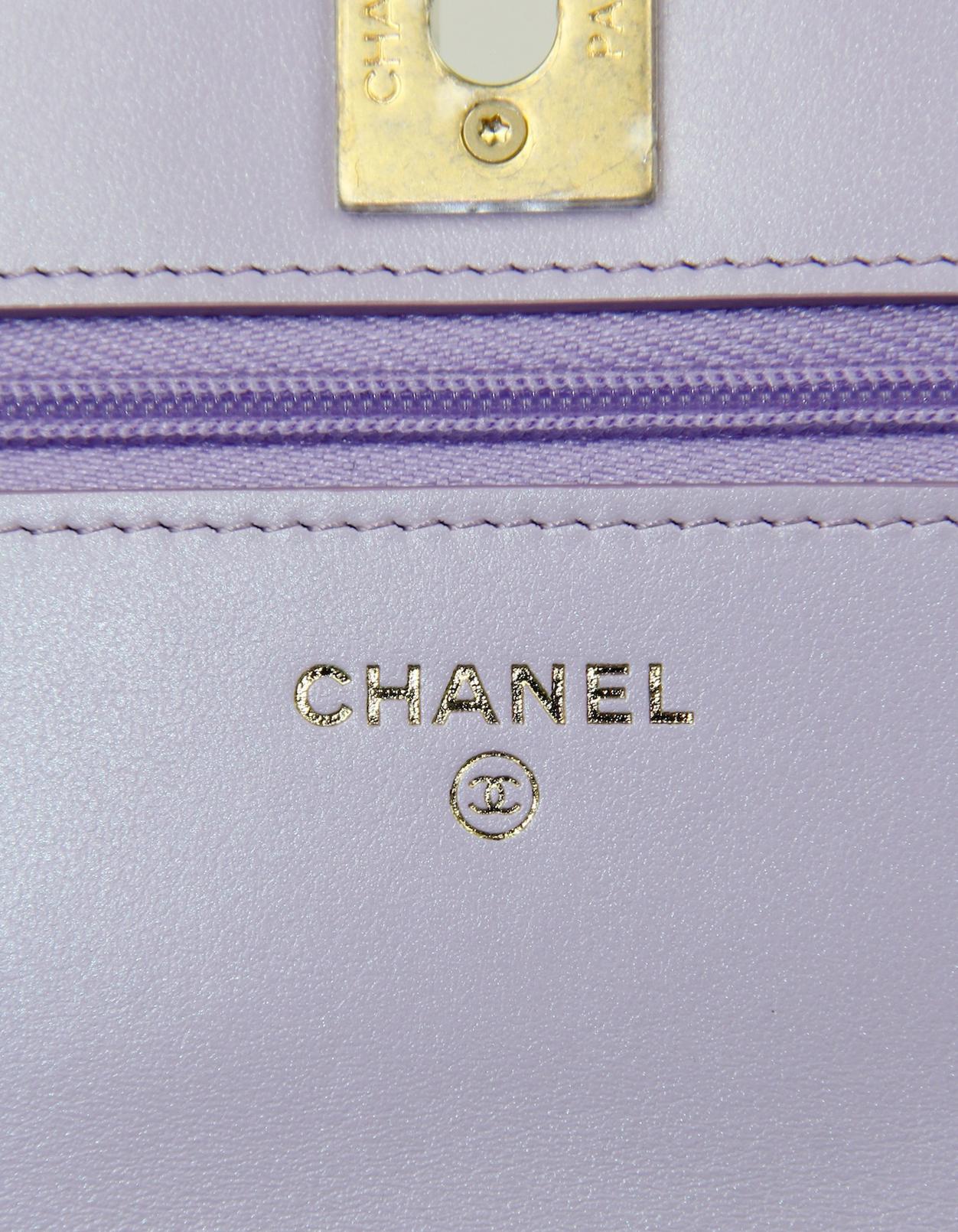 Chanel Metallic Ombre Leather Wallet On Chain WOC Crossbody Bag 2
