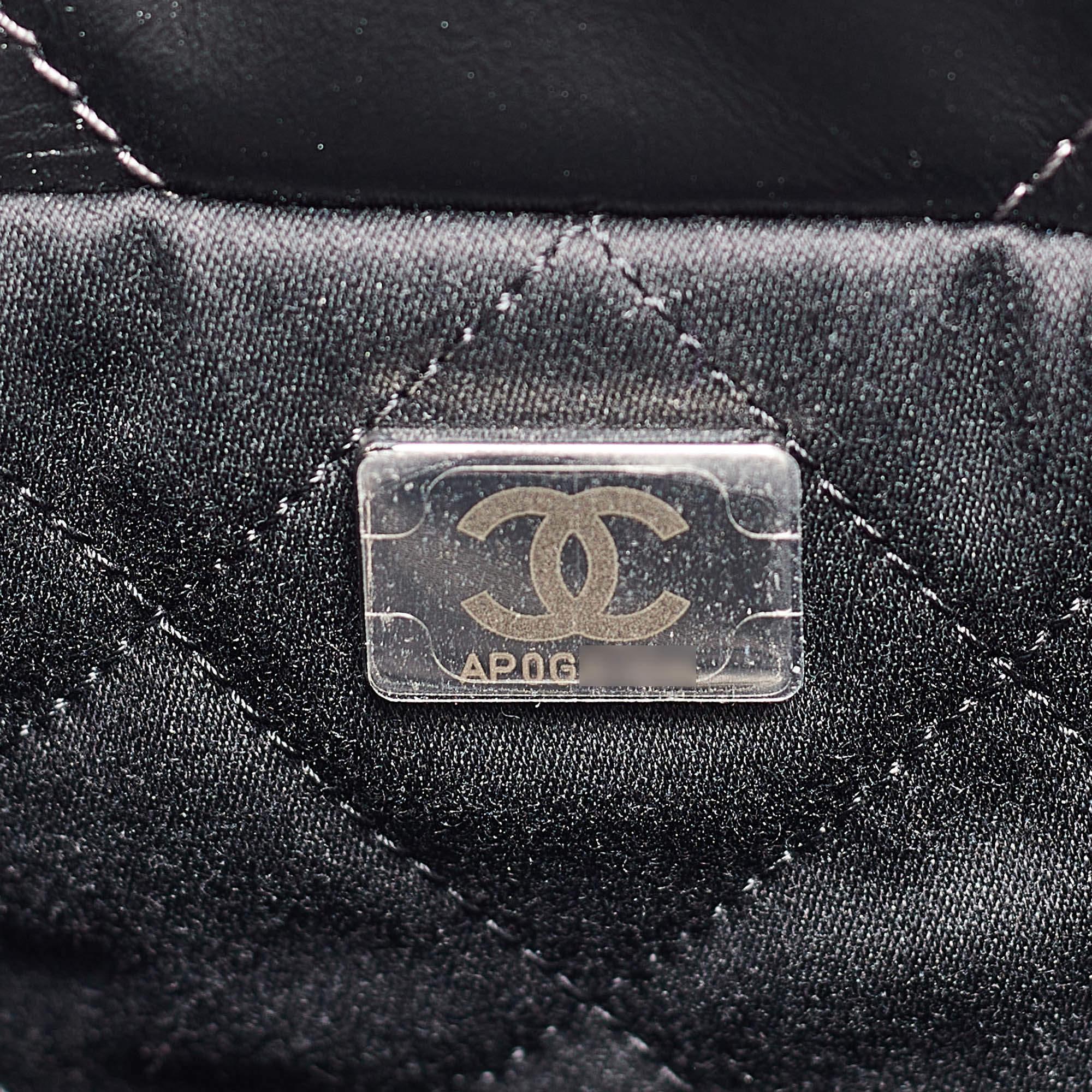 Chanel Metallic Ombre Quilted Shiny Leather Small 22 Hobo 3