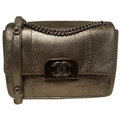 Chanel Grey Metallic Python Shanghai Flap Bag 