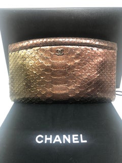 Chanel Metallic Python Clutch Bag