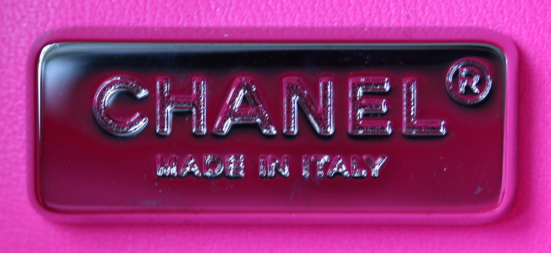 Chanel Mini Python CC Box Camera Case Bag  2