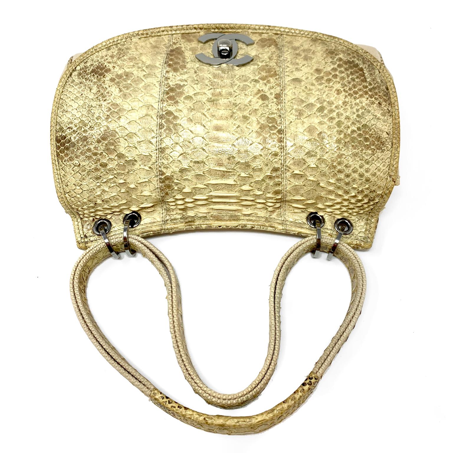 chanel snake bag
