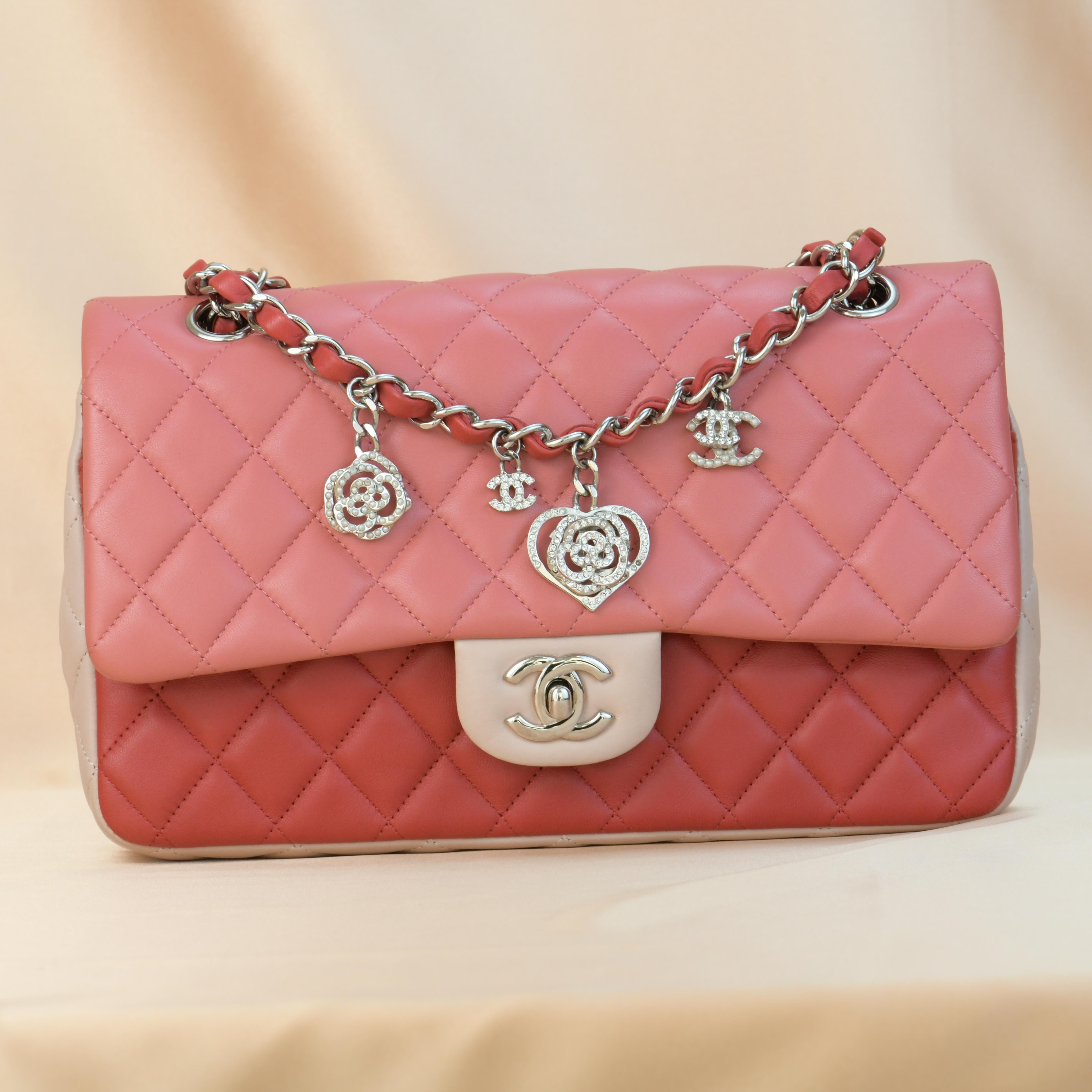 Brand	Chanel
Model	Timeless
Serial No.	19******
Color	Multi-Pink
Date	Approx. 2014
Metal	Silver
Material	Lambskin
Measurements	Approx. 15 x 25 x 6 cm
Condition	Excellent 
Comes with	Chanel Dust bag and Authentic Card

If you are interested in any of