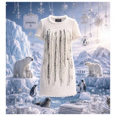 CHANEL New ARCTIC Collection Iconic Fringed Tweed Dress 34 FR