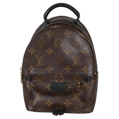 Louis Vuitton Monogram Canvas Mini Palm Springs