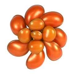 Maison Gripoix for Chanel Pearlized Coral Flower Brooch
