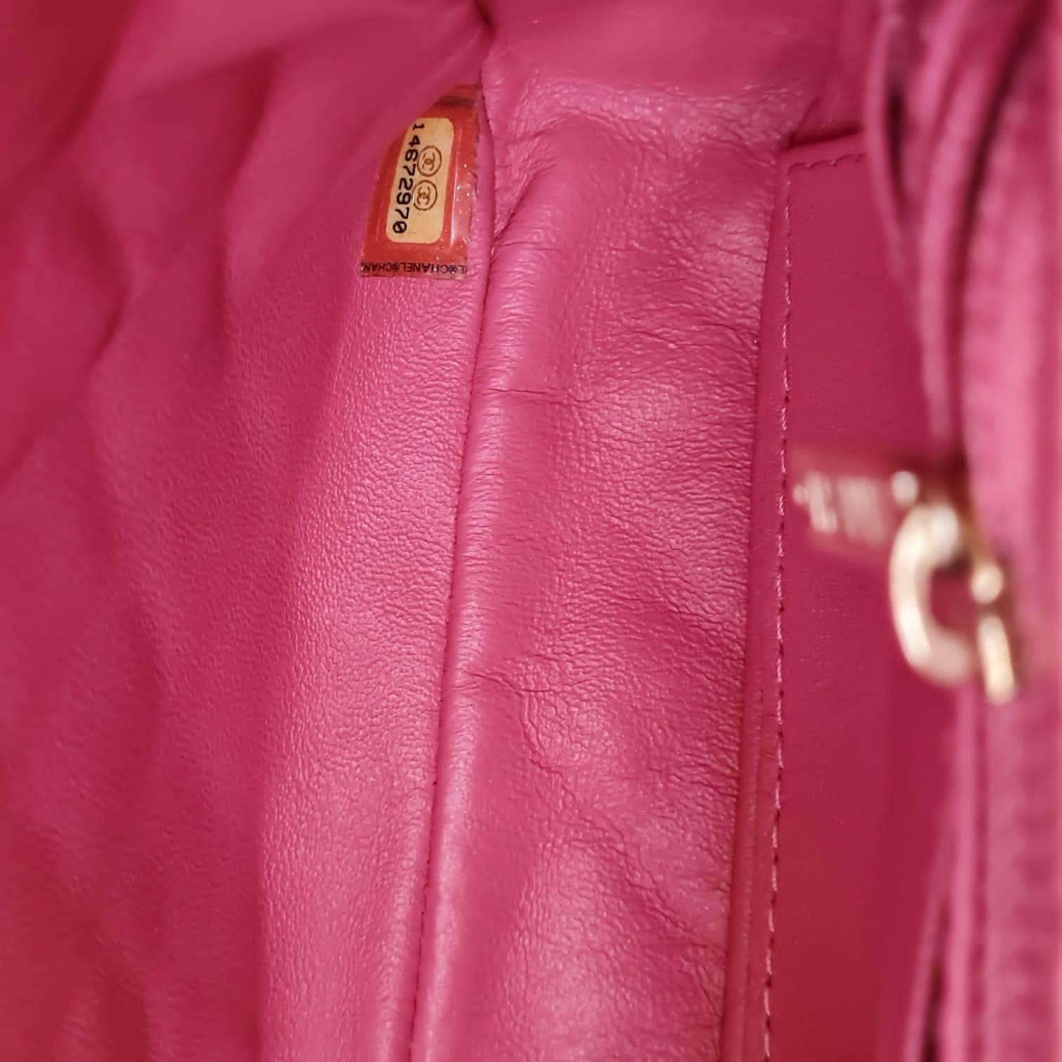 Chanel Pearly Pink Quilted Precious Jewel Medium Flap Bag 5