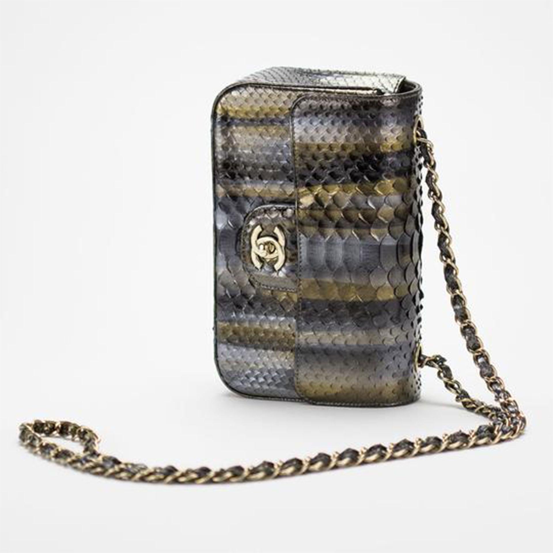 Women's or Men's Chanel Python Dallas Métiers d'Art Ombré Classic Flap Shoulder Bag For Sale