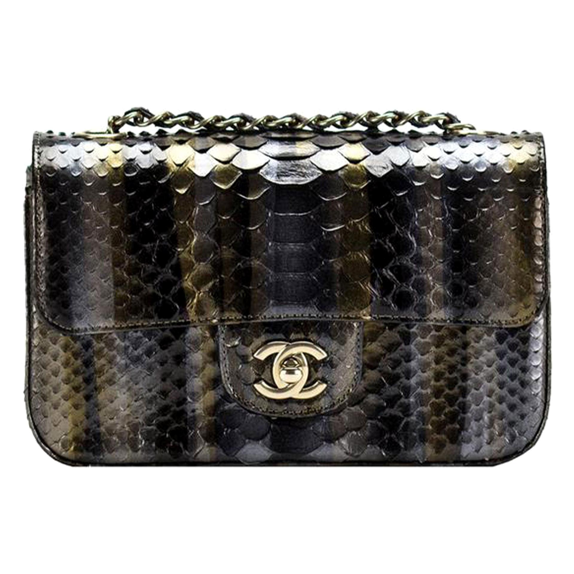 Chanel - Python Dallas - Métiers d'Art - Ombré - Sac à bandoulière classique à rabat en vente 1