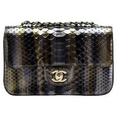 Chanel Python Dallas Métiers d'Art Ombré Classic Klappe Umhängetasche