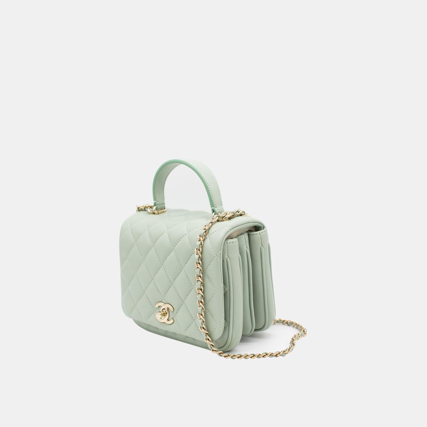 Gray Chanel Rare Lambskin Citizen Chic Mini Flap Bag In Light Green Gold Hardware