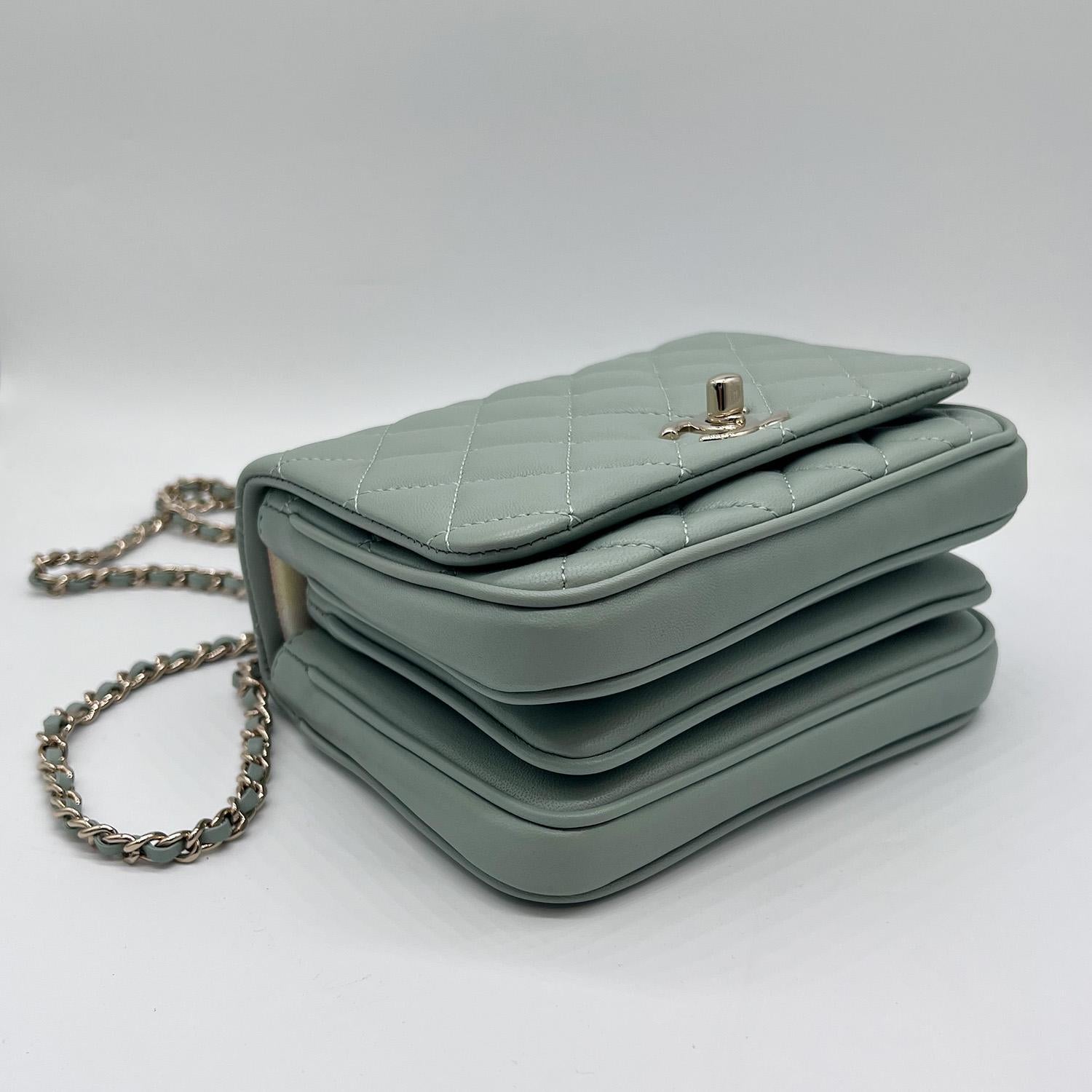 Chanel Rare Lambskin Citizen Chic Mini Flap Bag In Light Green Gold Hardware 4
