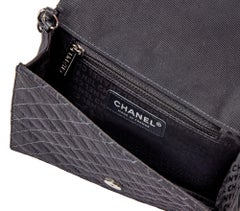 Chanel Rare Vintage 2005 Regal Crest Emblem Small Mini Flap Bag Crossbody