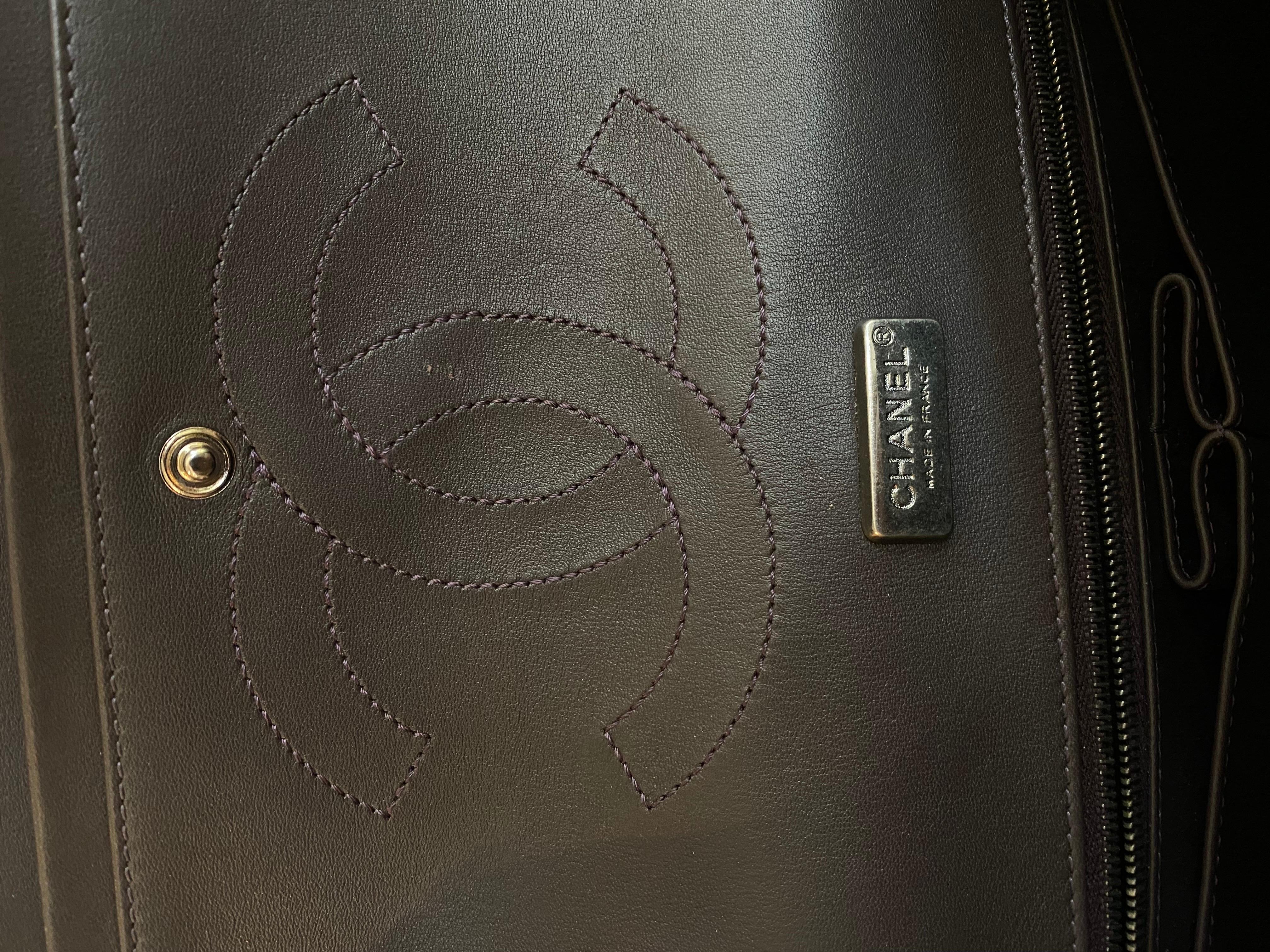Chanel Reissue python bag 6