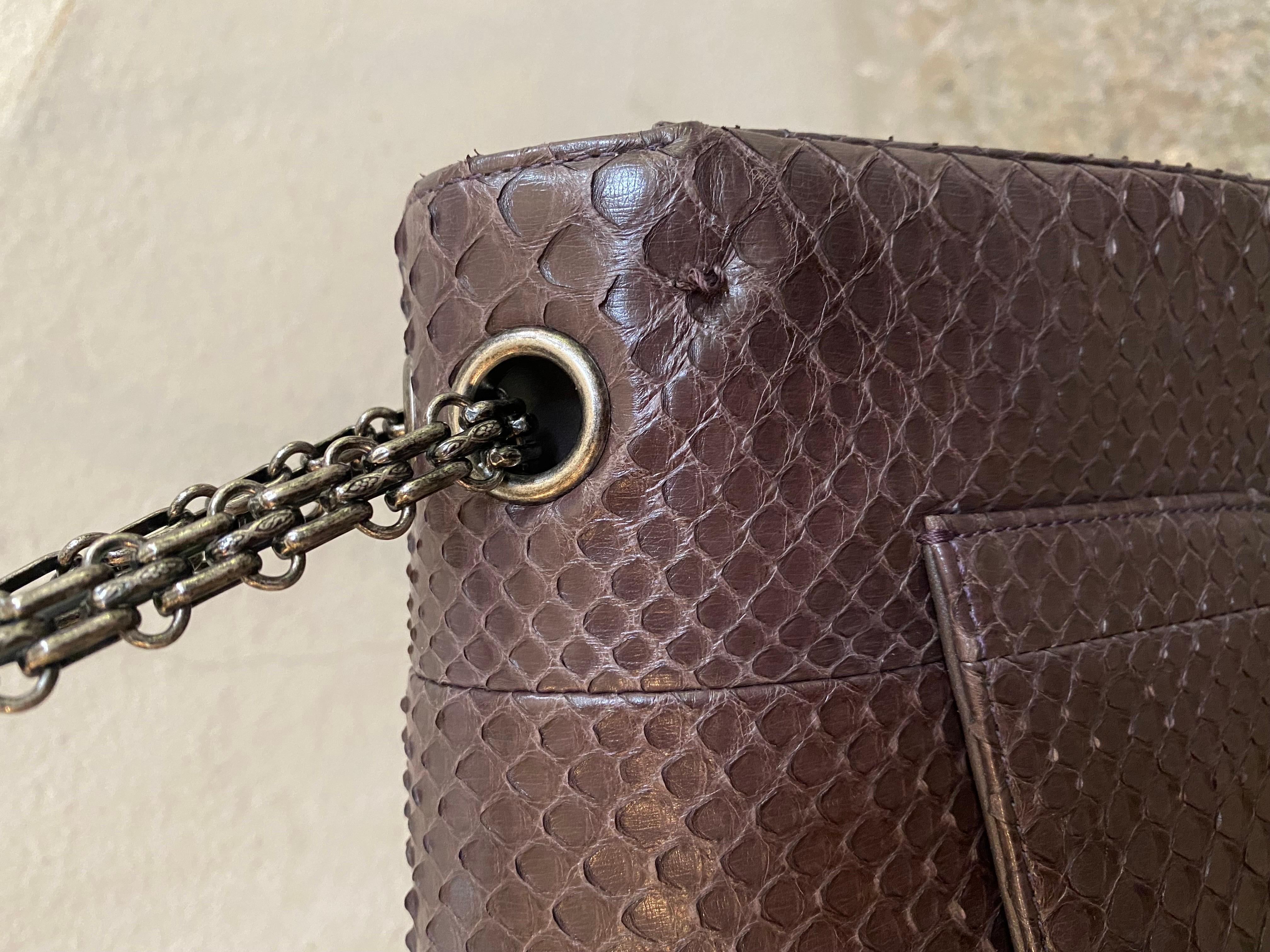 Chanel Reissue python bag 2