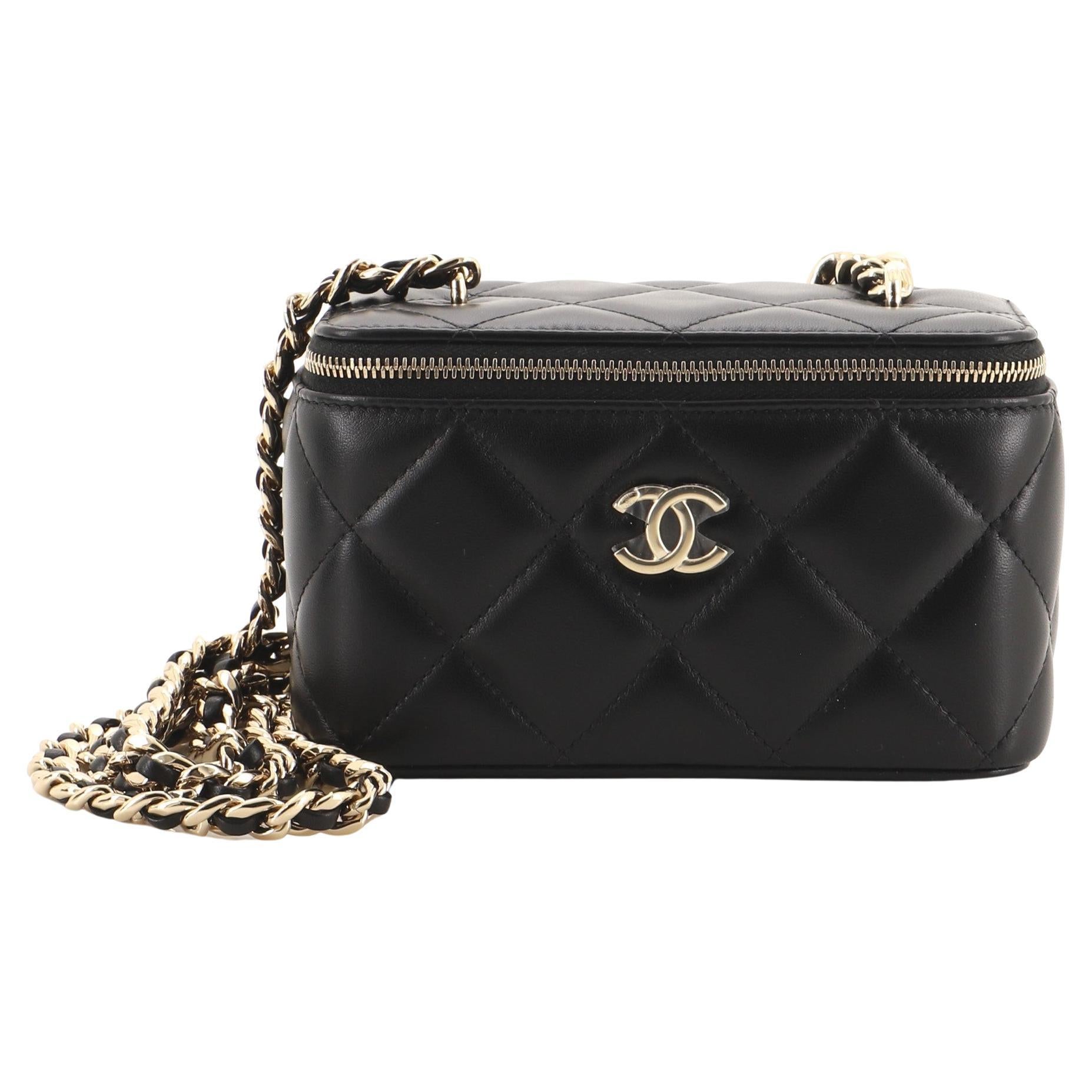 Chanel Resin Elegant Chain Vanity Case Quilted Lambskin Small at 1stDibs