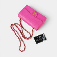 Chanel Series 23 Bubblegum Pink Crocodile Mini Bag