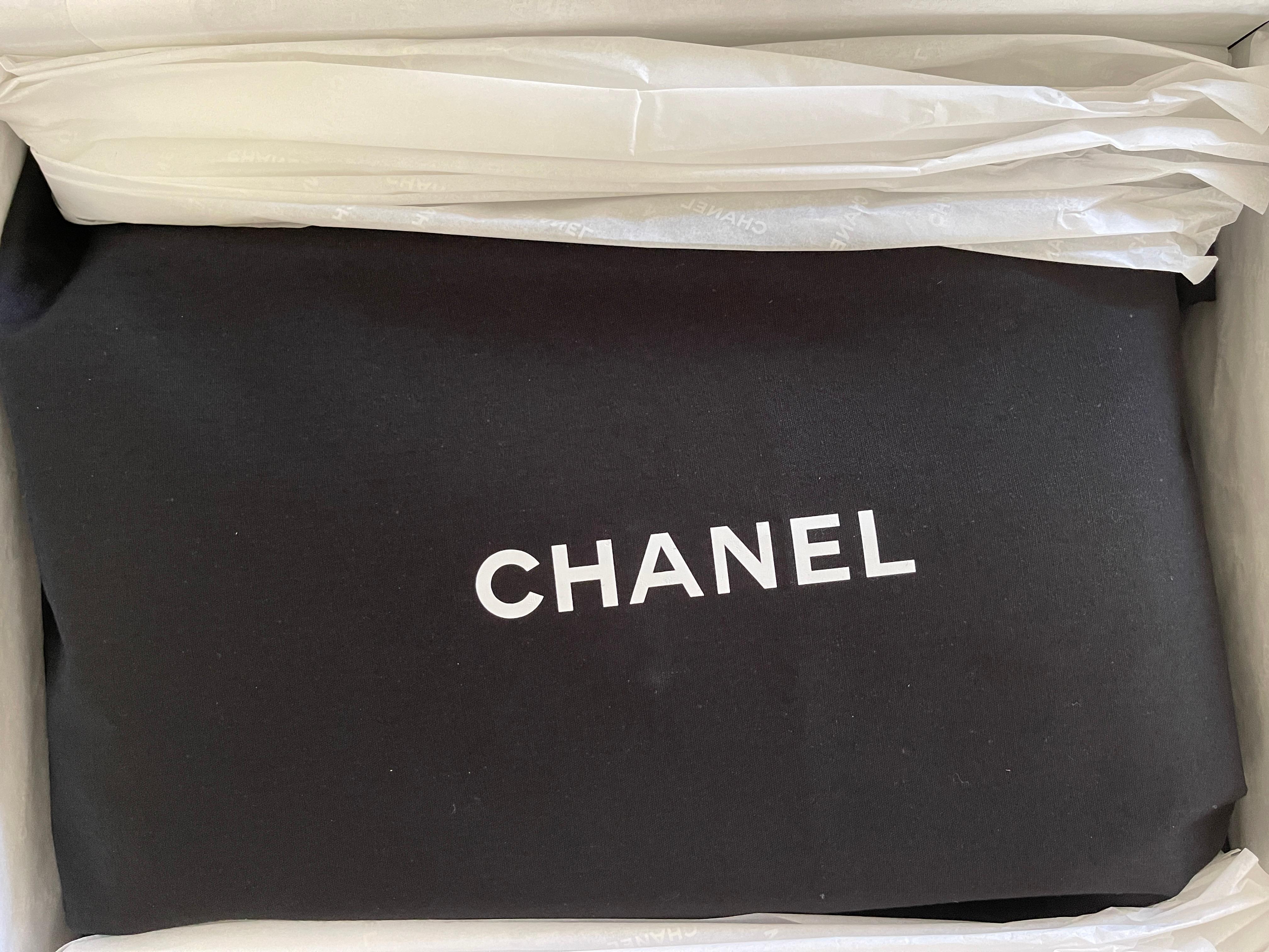 CHANEL Small 19 Flap Bag 21P Iridescent White Goatskin NEW Gold Silver 9