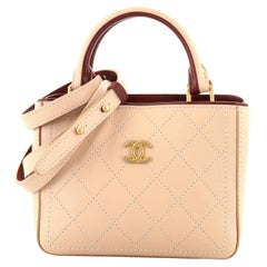 Chanel So Light Shopping Tote Stitched Bullskin Small