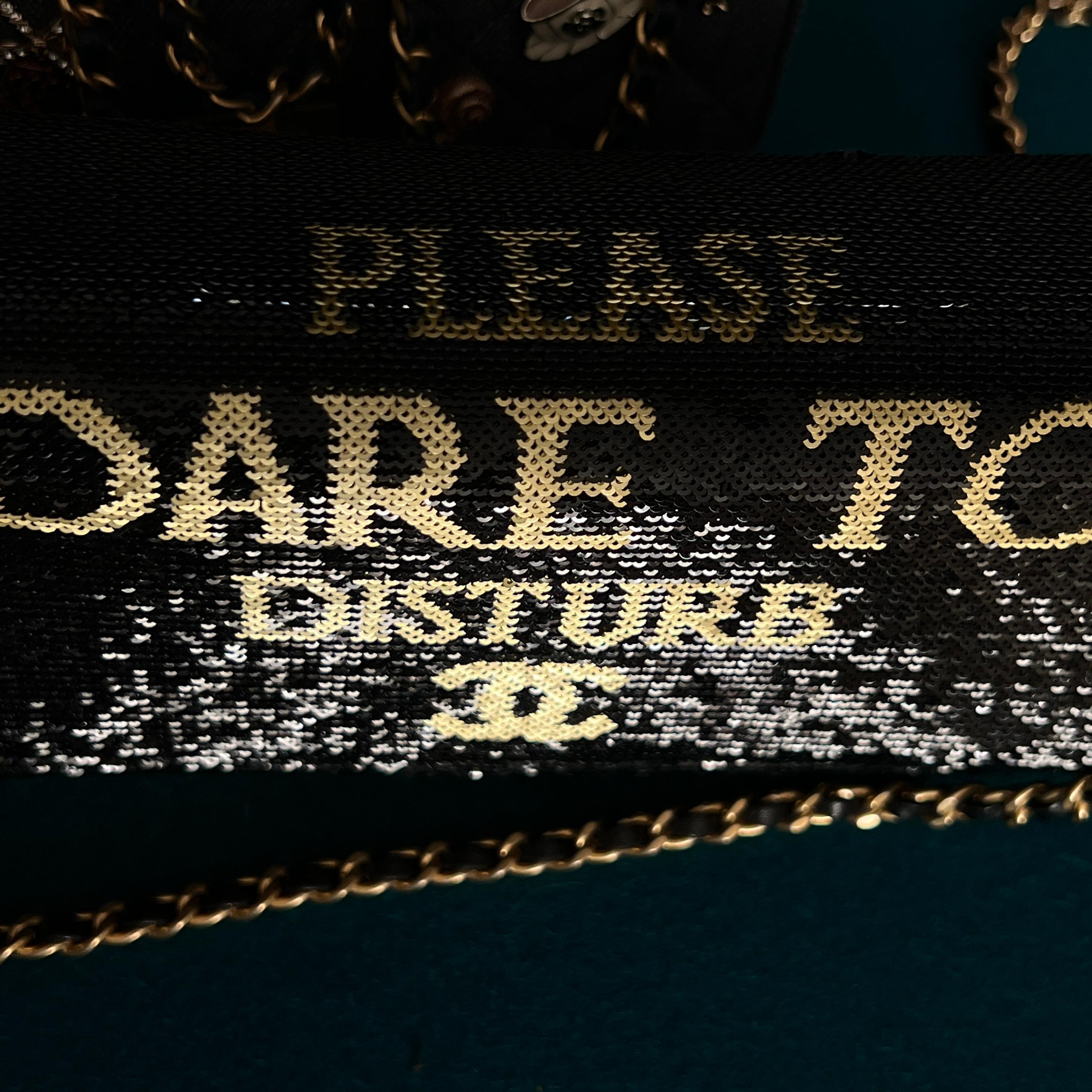 Chanel Super Rare Dare To Disturb Pailletten-Klappentasche im Angebot 4