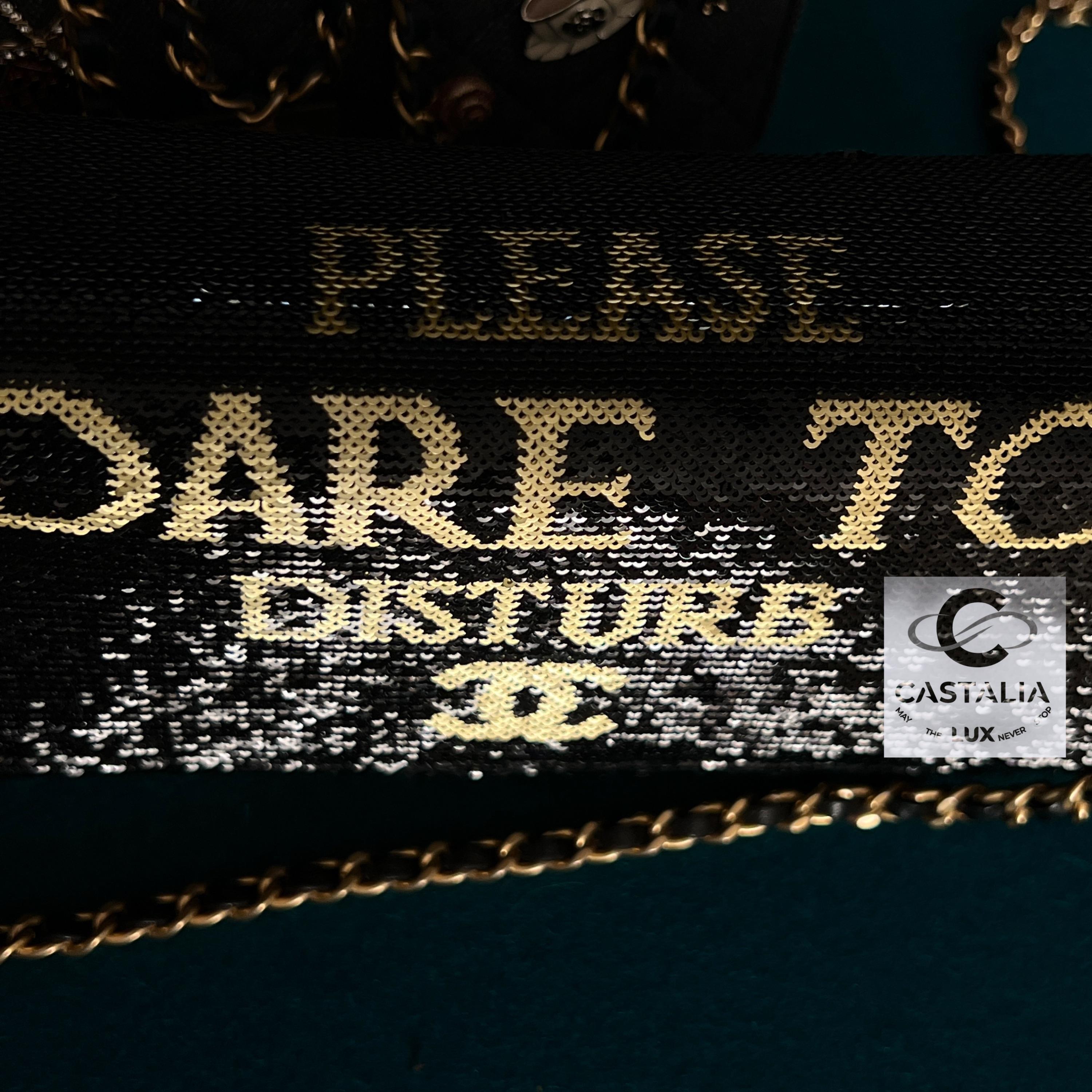 Chanel Bolso con Solapa de Lentejuelas Super Rare Dare To Disturb 3